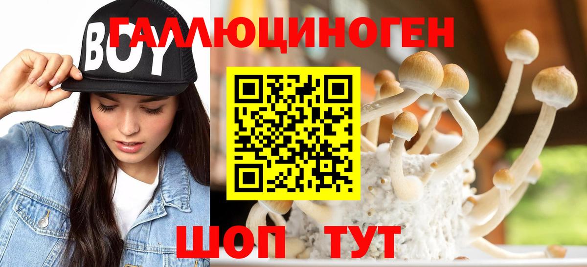 Псилоцибиновые грибы Magic Shrooms Дятьково
