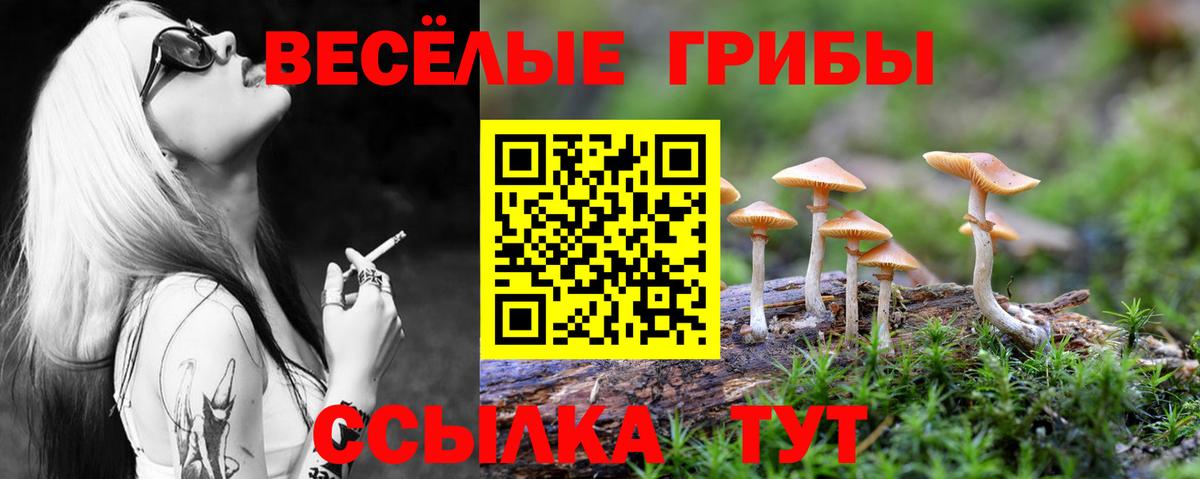 Галлюциногенные грибы Psilocybe  Вход с VPN  Псилоцибиновые грибы ЛСД  Дятьково 